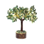Green Jade Tree