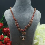 1 to 14 Mukhi Siddha Rudraksha Mala with Gauri-Shankar and Ganesh Rudraksha, Origin – Nepal