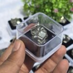 Golden natural Peru pyrite  Master piece 30 gm approx