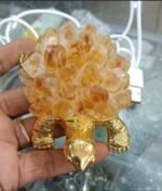 Neutral citrine turtle lamp - Image 5